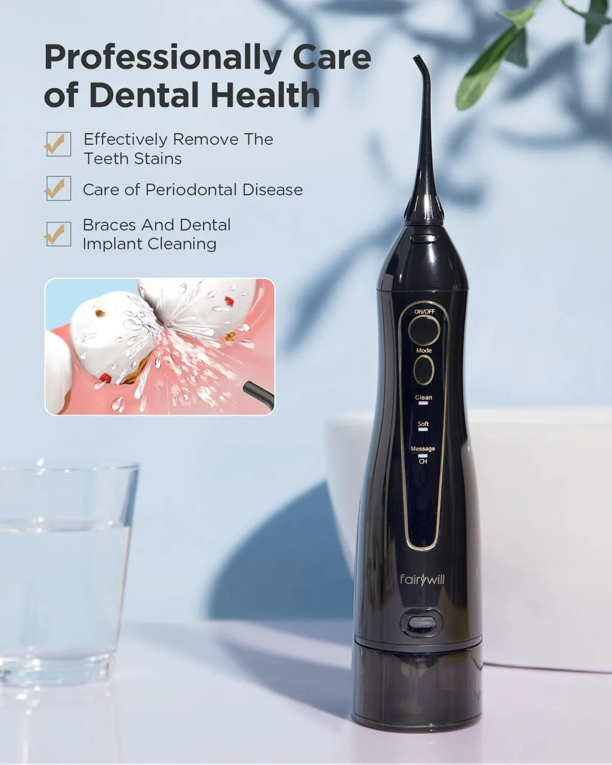 Water Flosser 300